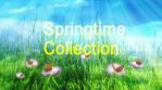 Springtime Collection