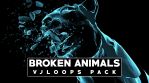 Broken Animals
